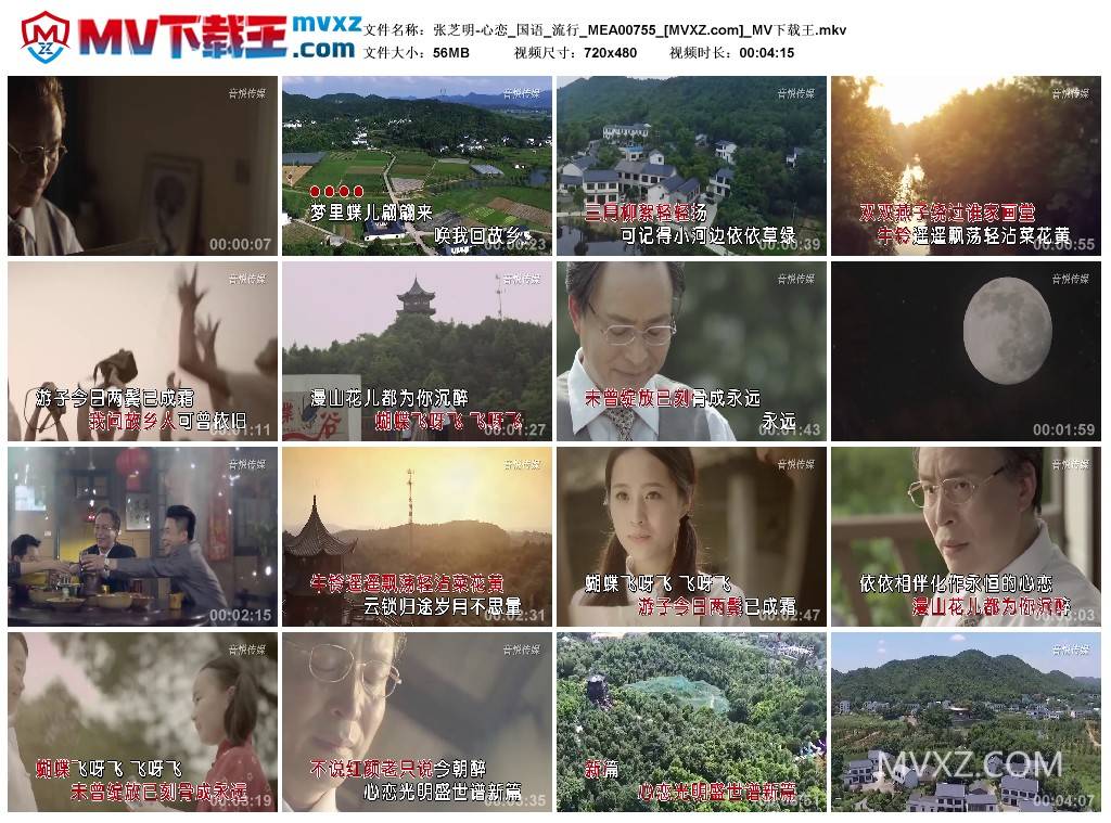 张芝明-心恋_国语_流行_MEA00755